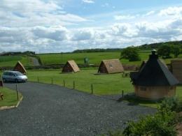 Swinhoe Farm Logs