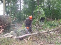 Swinhoe Farm Logs