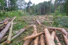 Swinhoe Farm Logs